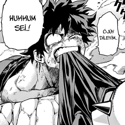 Boku no Hero Academia