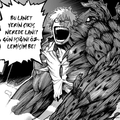 Boku no Hero Academia