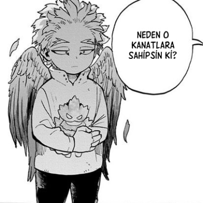Boku no Hero Academia