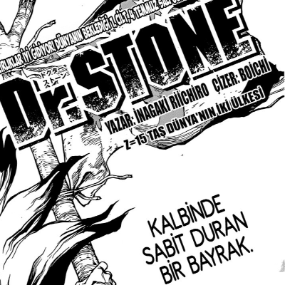Dr. Stone