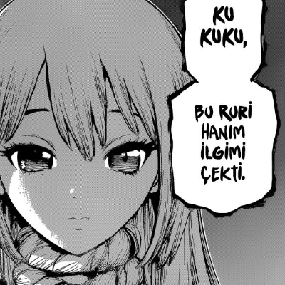 Dr. Stone
