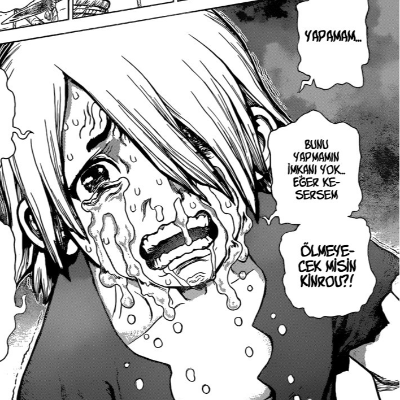 Dr. Stone