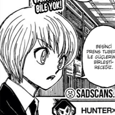 Hunter x Hunter